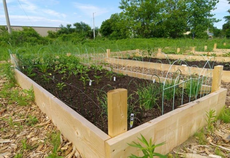 How to build Raised Garden Beds on a Slope or Hillside