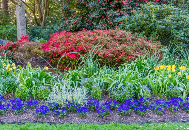 15 Enchanting Low-Growing Perennials to Beautify Your Garden Borders and Pathways