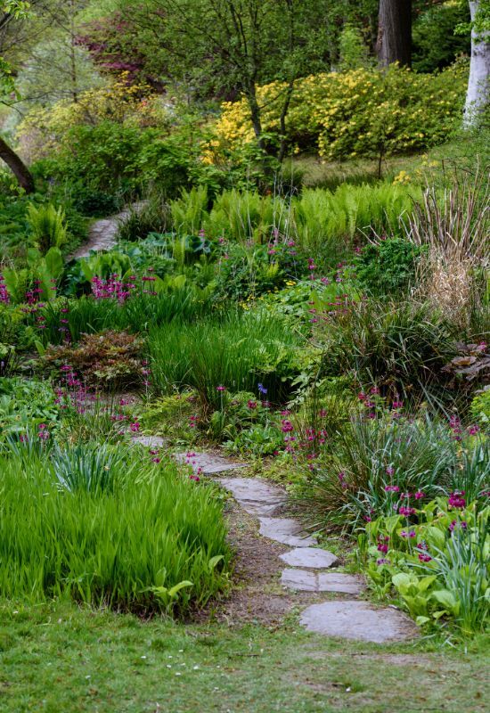 15 Gorgeous Low-Growing Perennials for Stunning Borders and Pathways