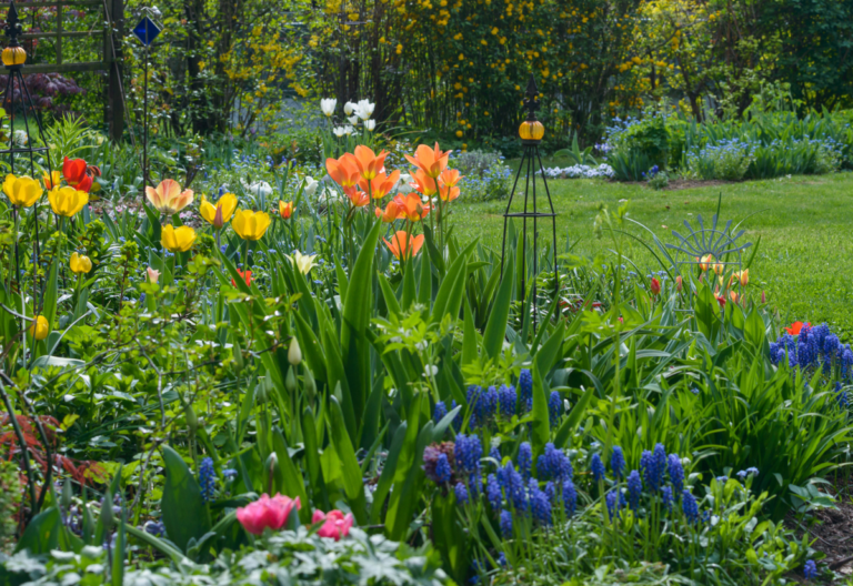 25 Bulbs to Plant This Fall for Showstopping Spring Blooms