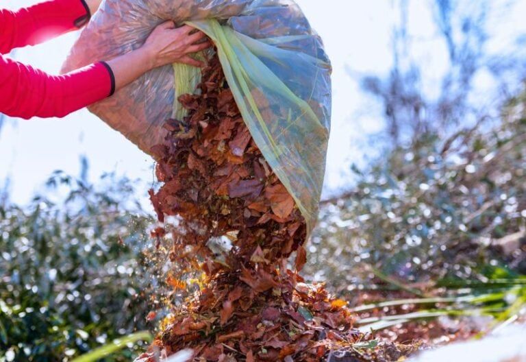 5 Easy Steps To Speed Up the Decomposition of Leaf Compost Piles